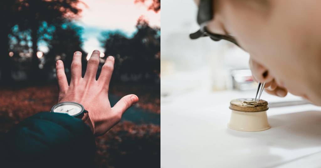 Willkommen in der Selva-Welt