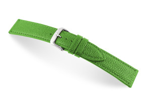 Bracelet-montre en cuir Pasadena 14mm vert