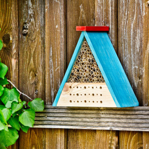 Insect hotel kit including paints and brushes