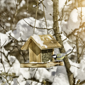 Bird house - feed silo