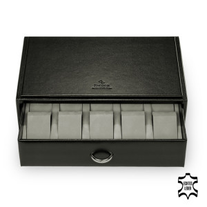 Watch case for 10 watches