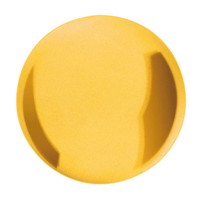 Pendellinse für Heimuhr Messing gelb poliert Ø:115 für Stabquerschnitt:19x6 126g