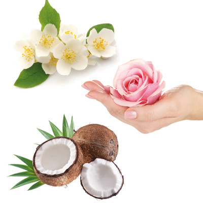 Soap Fragrance Oil - Set of 3 - Body Rose, Coconut Milk, Jasmine