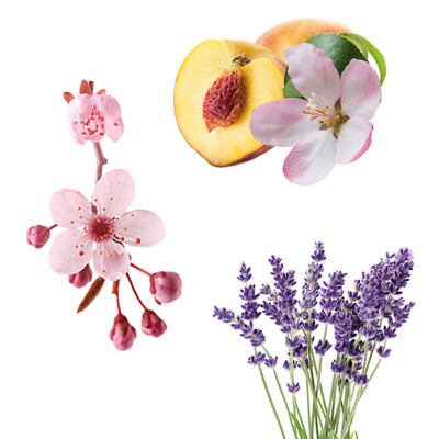 Seifenduft-Öl - 3er-Set - Kirschblüte, Pfirsich, Lavendel