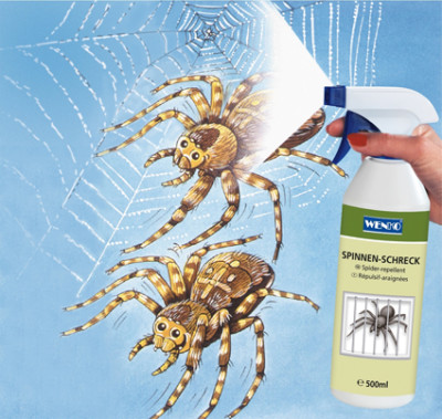 Défense d'araignée