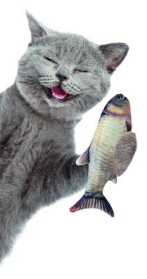 Cat toy Magic Fish