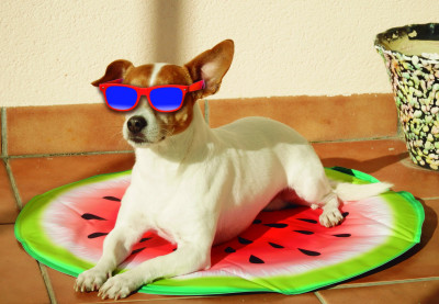 Pet Cooling Mat - Die selbstkühlende Matte für Haustiere